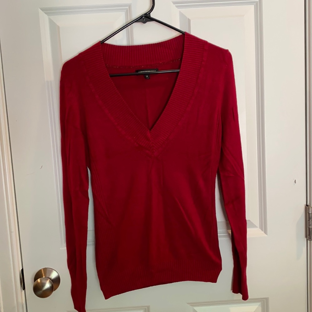Express V-Neck Sweater